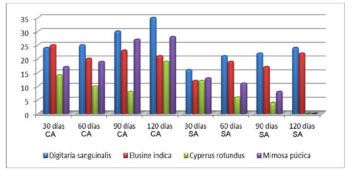 Presencia de arvenses en las réplicas